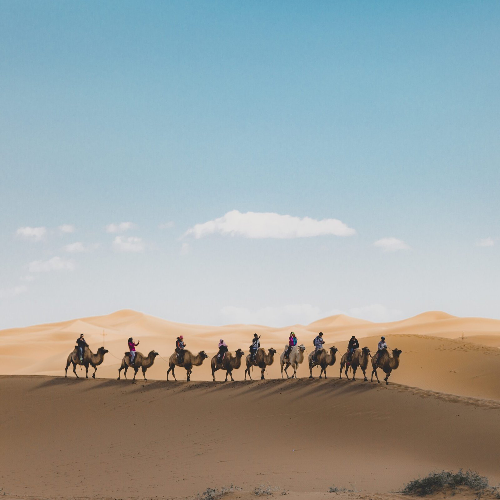 Read more about the article Why Should Saudi Arabia Be Your Next Travel Destination Let Us Know The Reasons